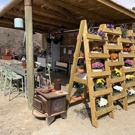 Carmey Avdat Farm Midreshet Ben Gurion Esterno foto