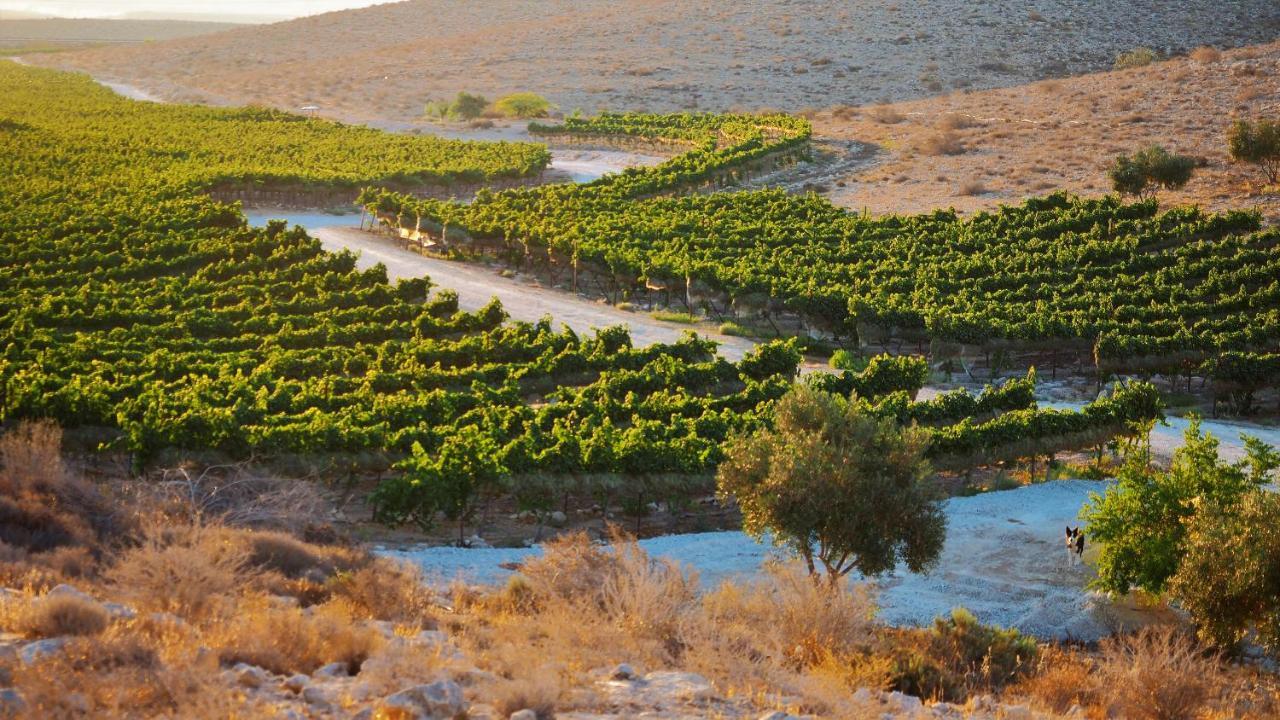 Carmey Avdat Farm Midreshet Ben Gurion Esterno foto