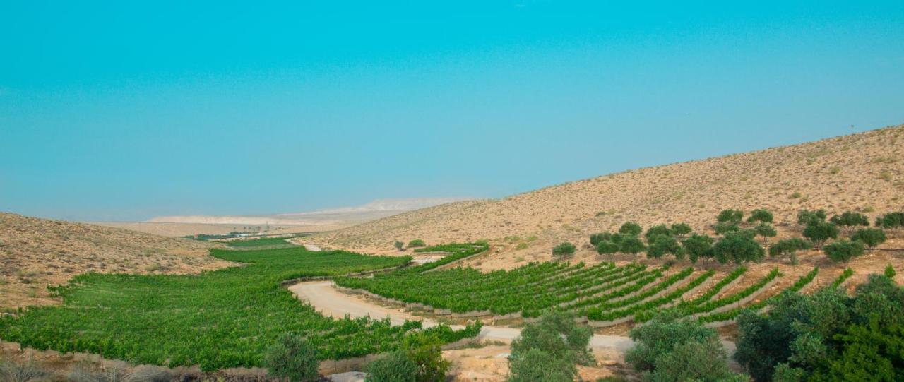 Carmey Avdat Farm Midreshet Ben Gurion Esterno foto