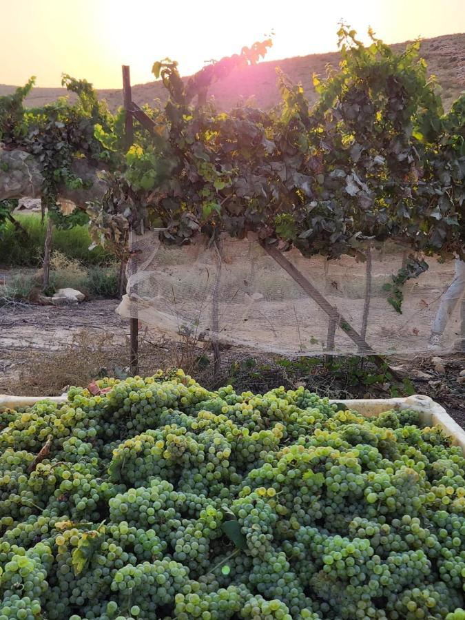Carmey Avdat Farm Midreshet Ben Gurion Esterno foto