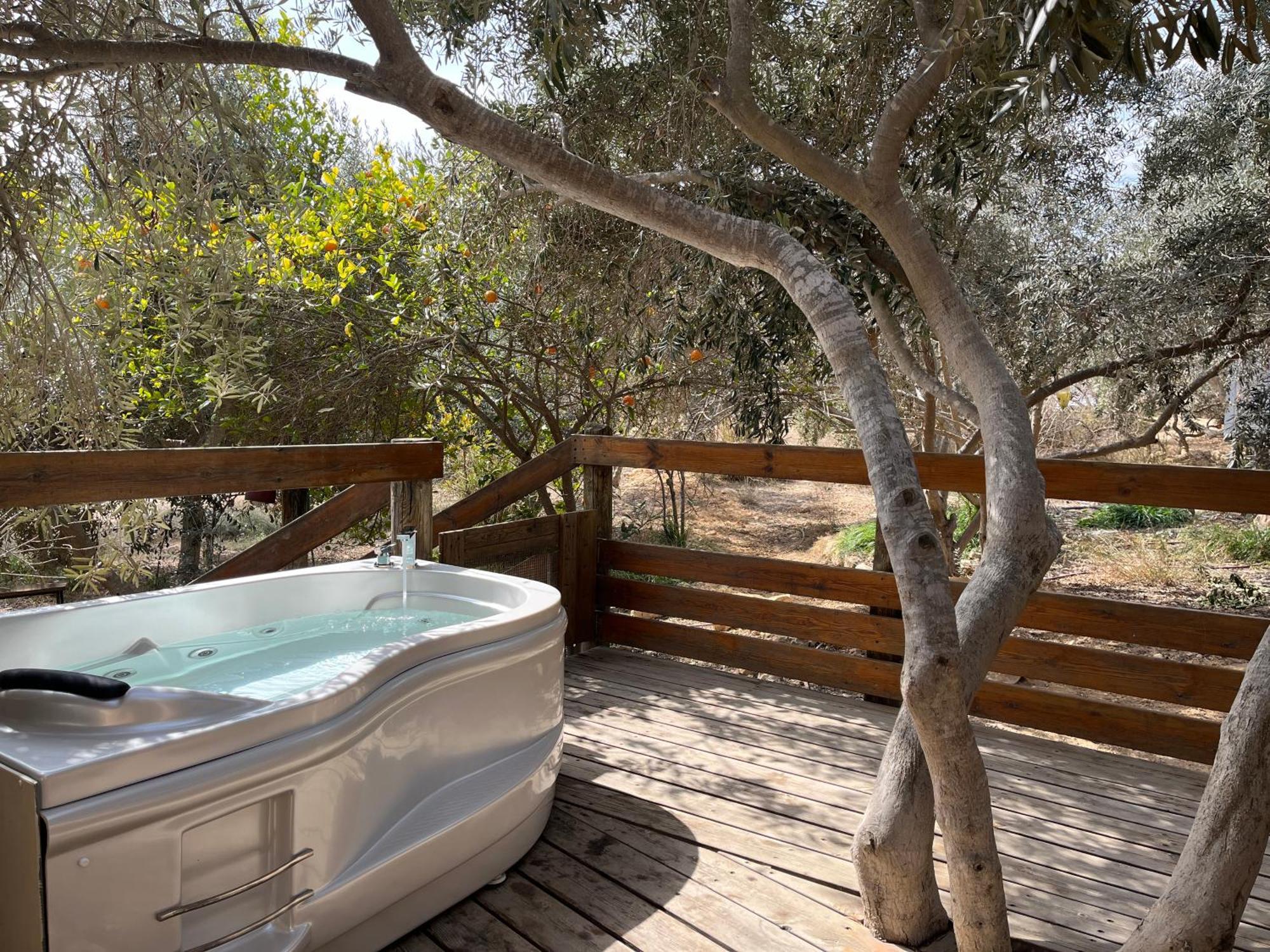 Carmey Avdat Farm Midreshet Ben Gurion Esterno foto