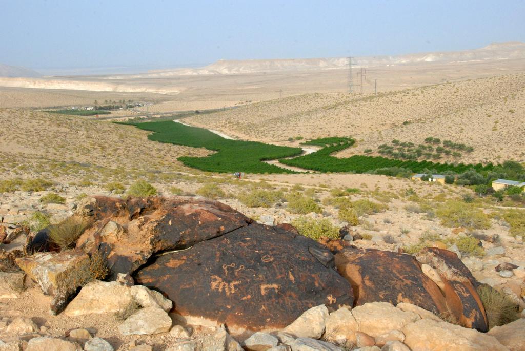 Carmey Avdat Farm Midreshet Ben Gurion Esterno foto